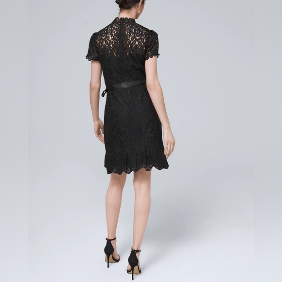 White House Black Label | Short Sleeve Crotchet Lace Dress with Cutout - Picture 14 of 16